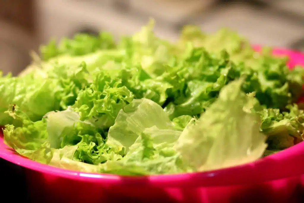 Kalera Announces First Harvest of Lettuce & Microgreens at New Denver Vertical Farm